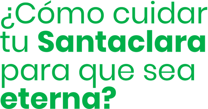 Cuidado Título